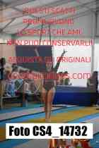 CS4_14732-
