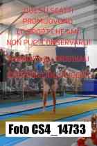 CS4_14733-