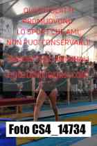 CS4_14734-