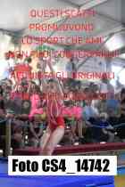 CS4_14742-