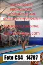 CS4_14787-
