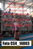 CS4_14803-