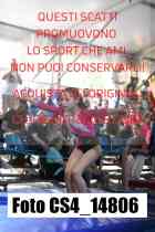 CS4_14806-