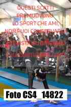 CS4_14822-