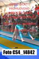 CS4_14842-