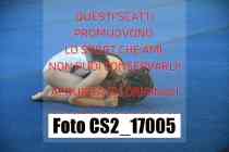 CS2_17005-