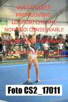 CS2_17011-