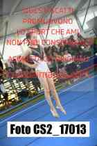 CS2_17013-