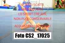 CS2_17025-