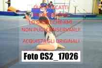 CS2_17026-