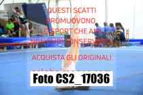 CS2_17036-