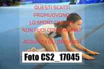 CS2_17045-