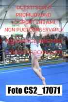 CS2_17071-