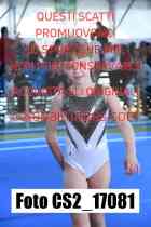 CS2_17081-