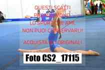 CS2_17115-