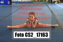 CS2_17163-