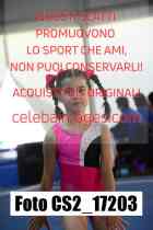 CS2_17203-