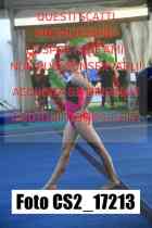 CS2_17213-