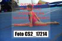 CS2_17214-