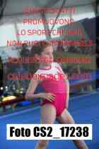 CS2_17238-