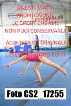 CS2_17255-