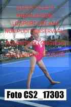 CS2_17303-