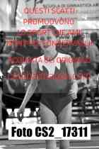 CS2_17311-