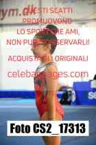 CS2_17313-