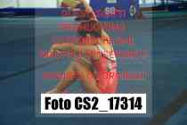 CS2_17314-