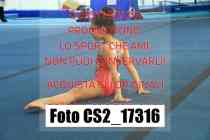 CS2_17316-