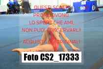 CS2_17333-