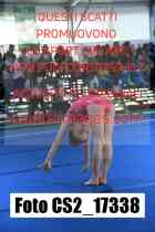 CS2_17338-