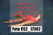 CS2_17362-