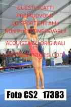 CS2_17383-