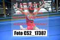 CS2_17387-