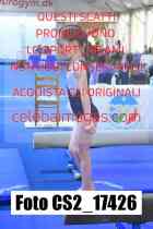 CS2_17426-