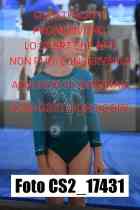 CS2_17431-