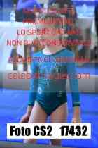 CS2_17432-