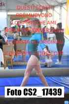 CS2_17439-