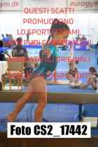 CS2_17442-