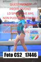 CS2_17446-