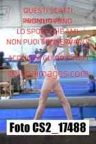 CS2_17488-