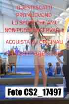 CS2_17497-