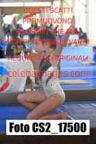CS2_17500-