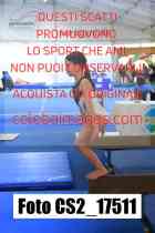 CS2_17511-