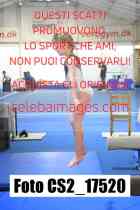 CS2_17520-