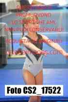 CS2_17522-