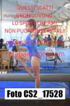 CS2_17528-