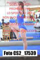 CS2_17539-