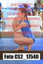 CS2_17540-